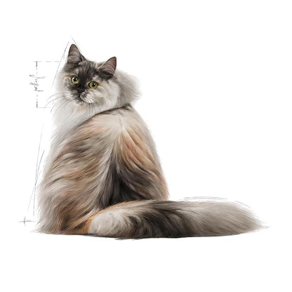 Royal Canin Hair & Skin Care Cat Food | Healthy Coat & Skin Support
