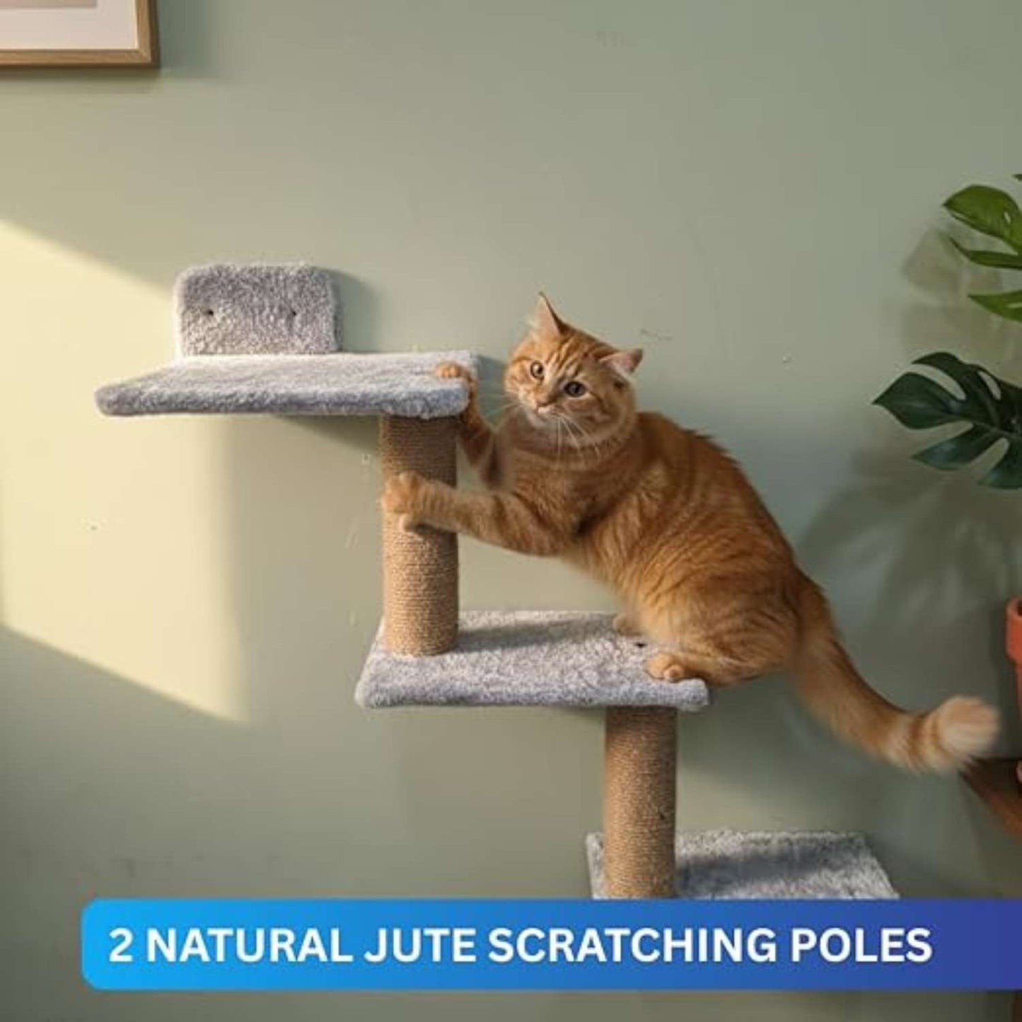Multi-Level Wall Cat Climber | Grey Plush Cat Tree with Natural Jute Scratcher (30X35X14 INCH)