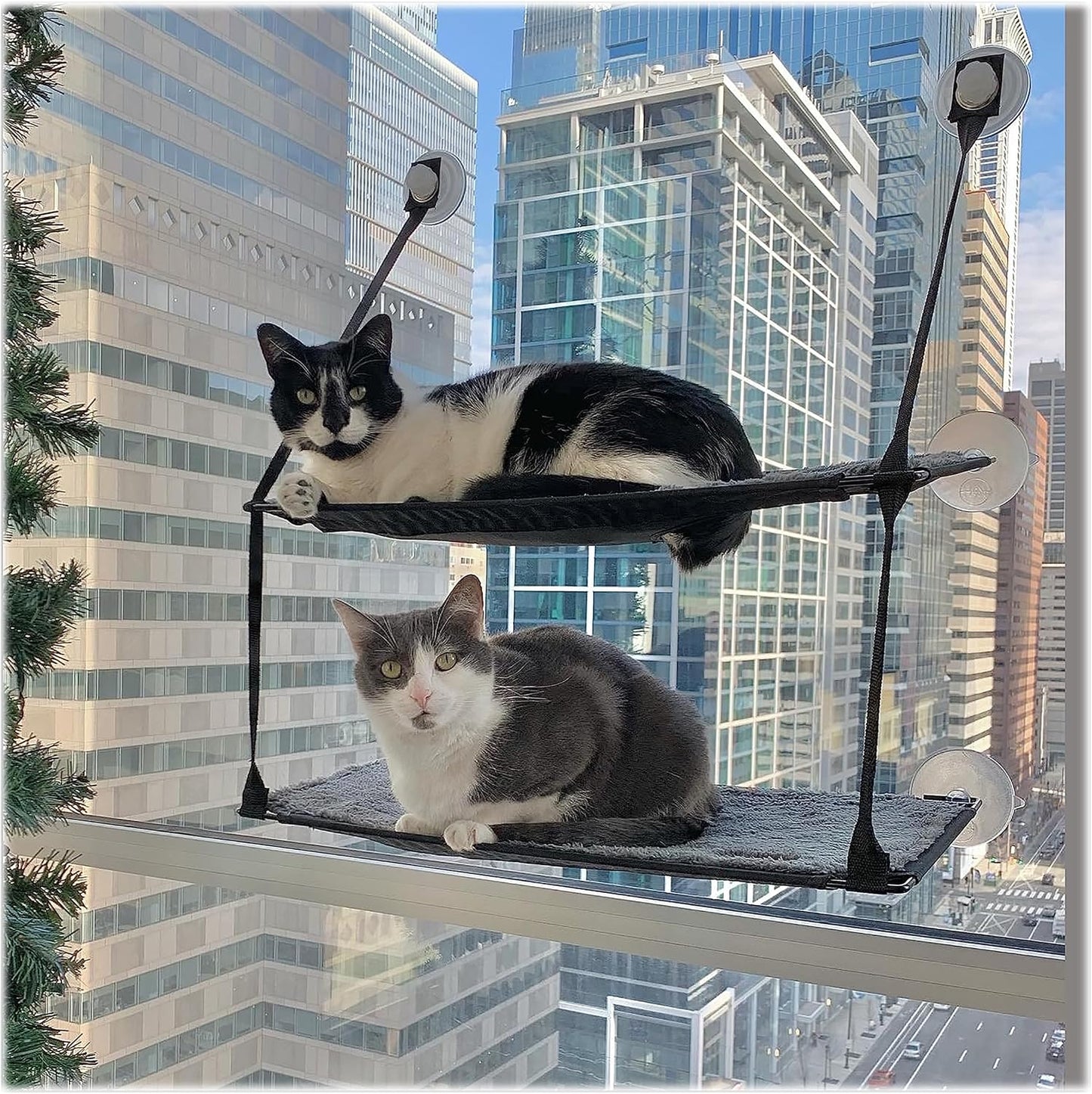 Double Stack Cat Window Perch Hammock Bed | Suction Mount Kitty Sill Seat Gray 12x23 Inch