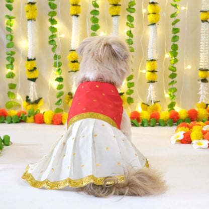pet costume