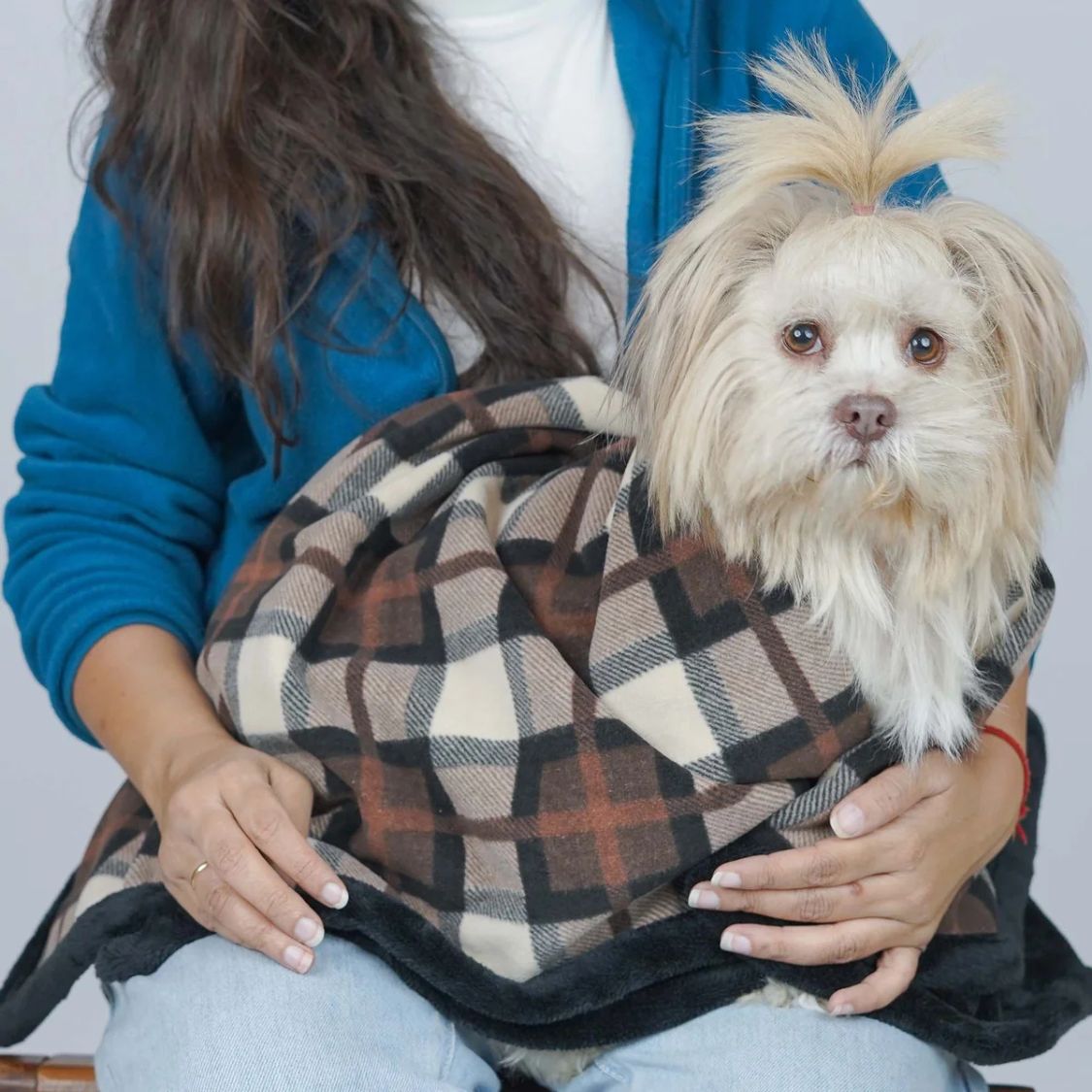 blanket for dogs