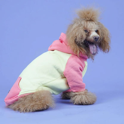Dog Sweatshirt | Dog Stylish Clothes for Winter and Cold Weather