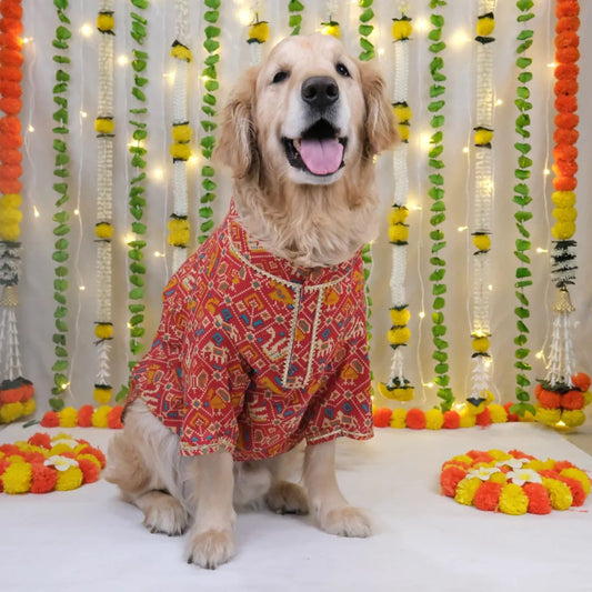 dog outfit