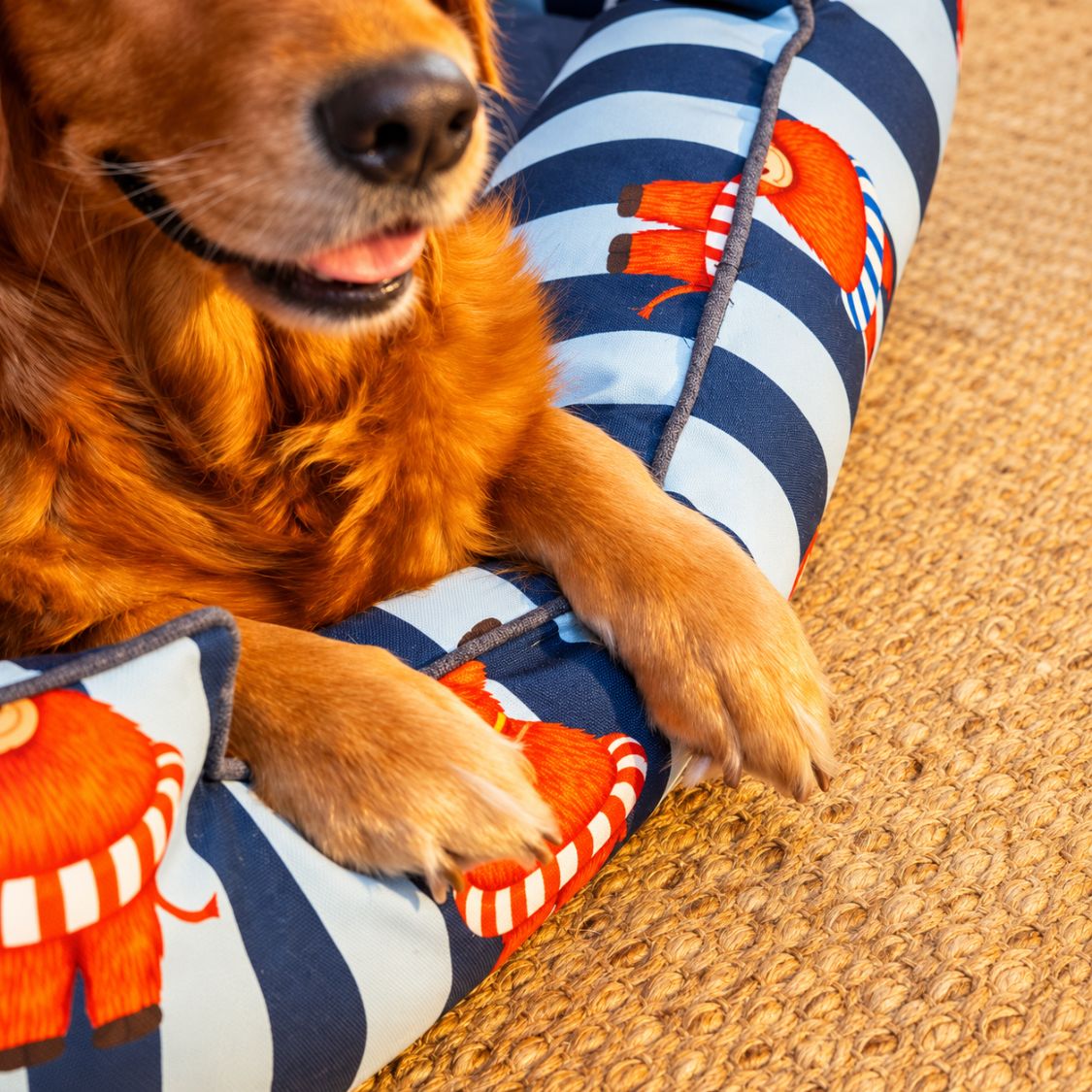 Dog Bed | Raised Side Pet Bed for Cozy Indoor Sleep & Rest - Blue