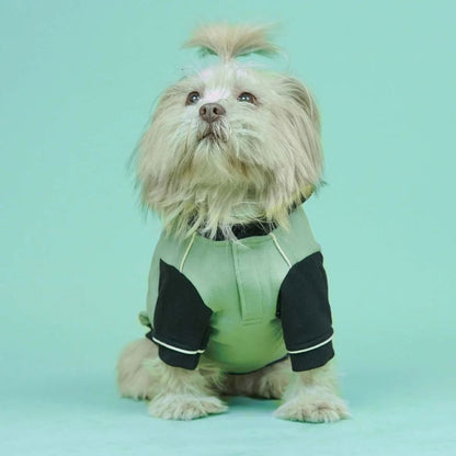 Dog Sweatshirt | Dog Winter Were with Hood and Fleece
