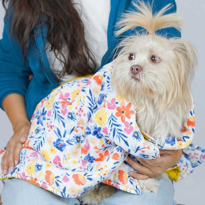 dog throw blanket