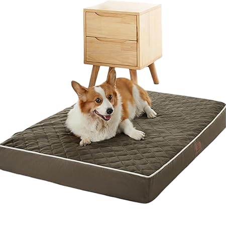 Orthopedic Memory Foam Dog Bed Waterproof Washable Anti-Slip Large Pet Bed (Dark Green )