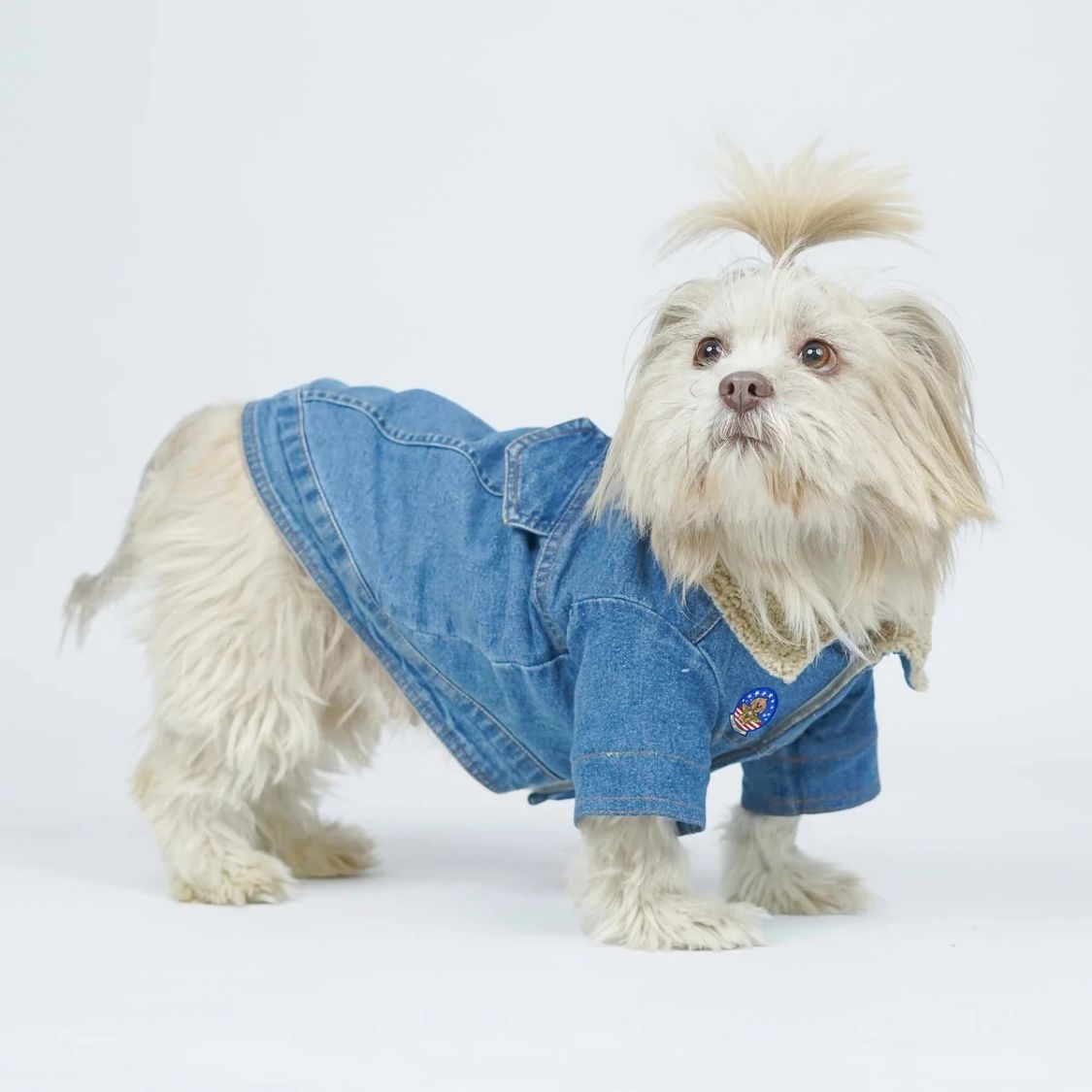 Dog Denim Jacket | Dog Winter Jacket with Soft Sherpa Lining