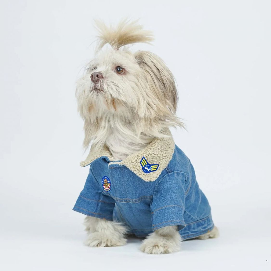 Dog Denim Jacket | Dog Winter Jacket with Soft Sherpa Lining