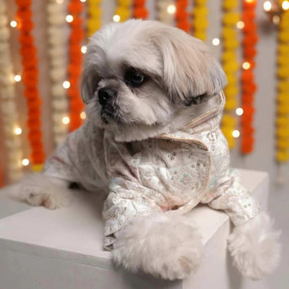 Festival Joy Designer Kurta for Dogs – Stylish Ethnic Outfit for Pets