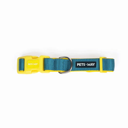 Dog Padded Collar | Dog Adjustable Collar for Daily Walks & Training