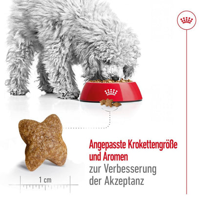 Dog Food | Dog Dry Food for Small Breed Adult Dogs with Weight & Digestive Support