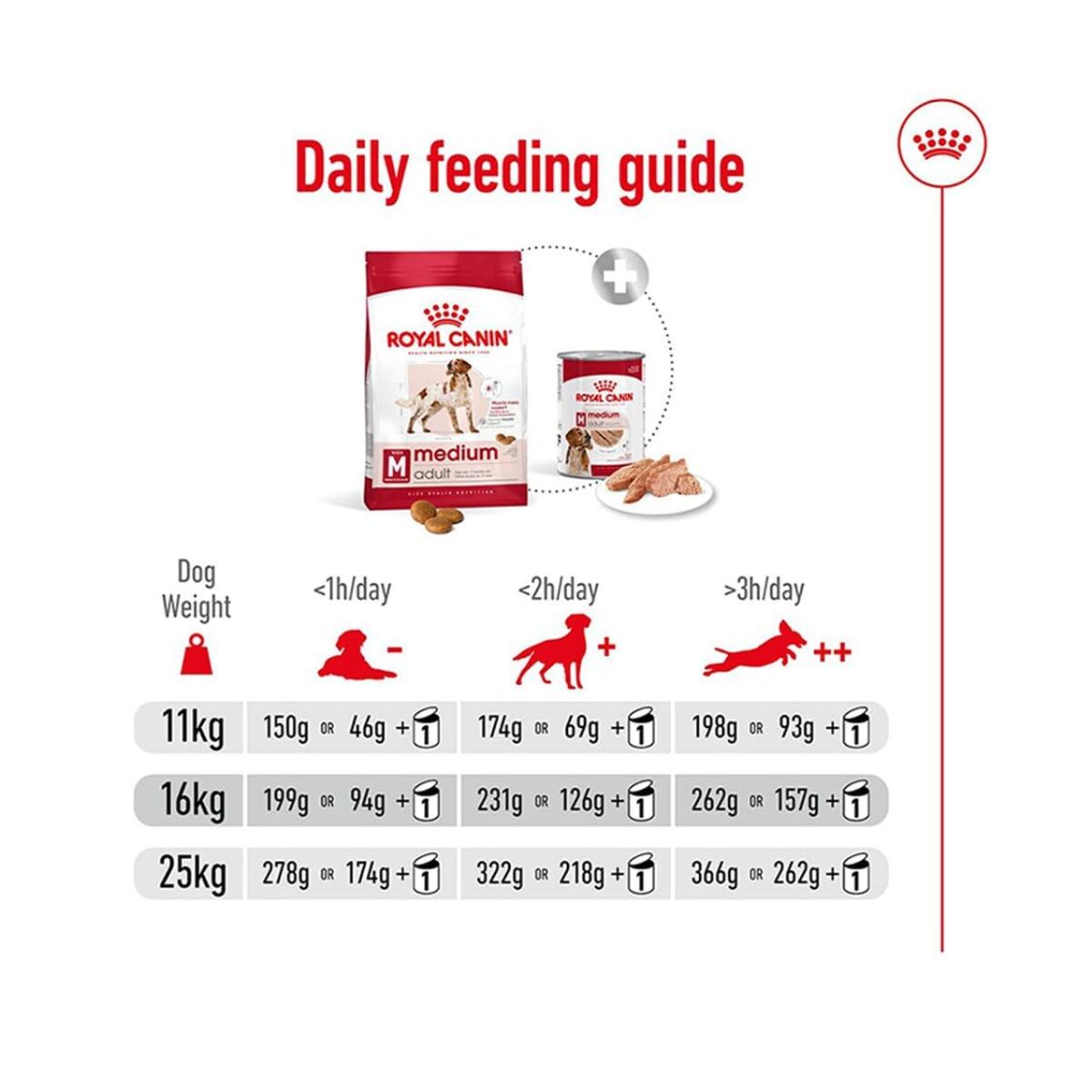 Dog Food | Dog Dry Food for Medium Breed Adult Dogs with Muscle Digestive