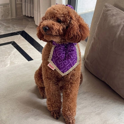 dog accessory 