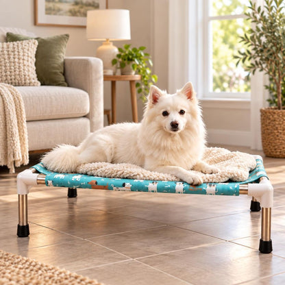 Dog Bed | Elevated Dog Bed for Small Pets & Cats with Steel Frame