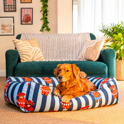Dog Bed | Raised Side Pet Bed for Cozy Indoor Sleep & Rest - Blue