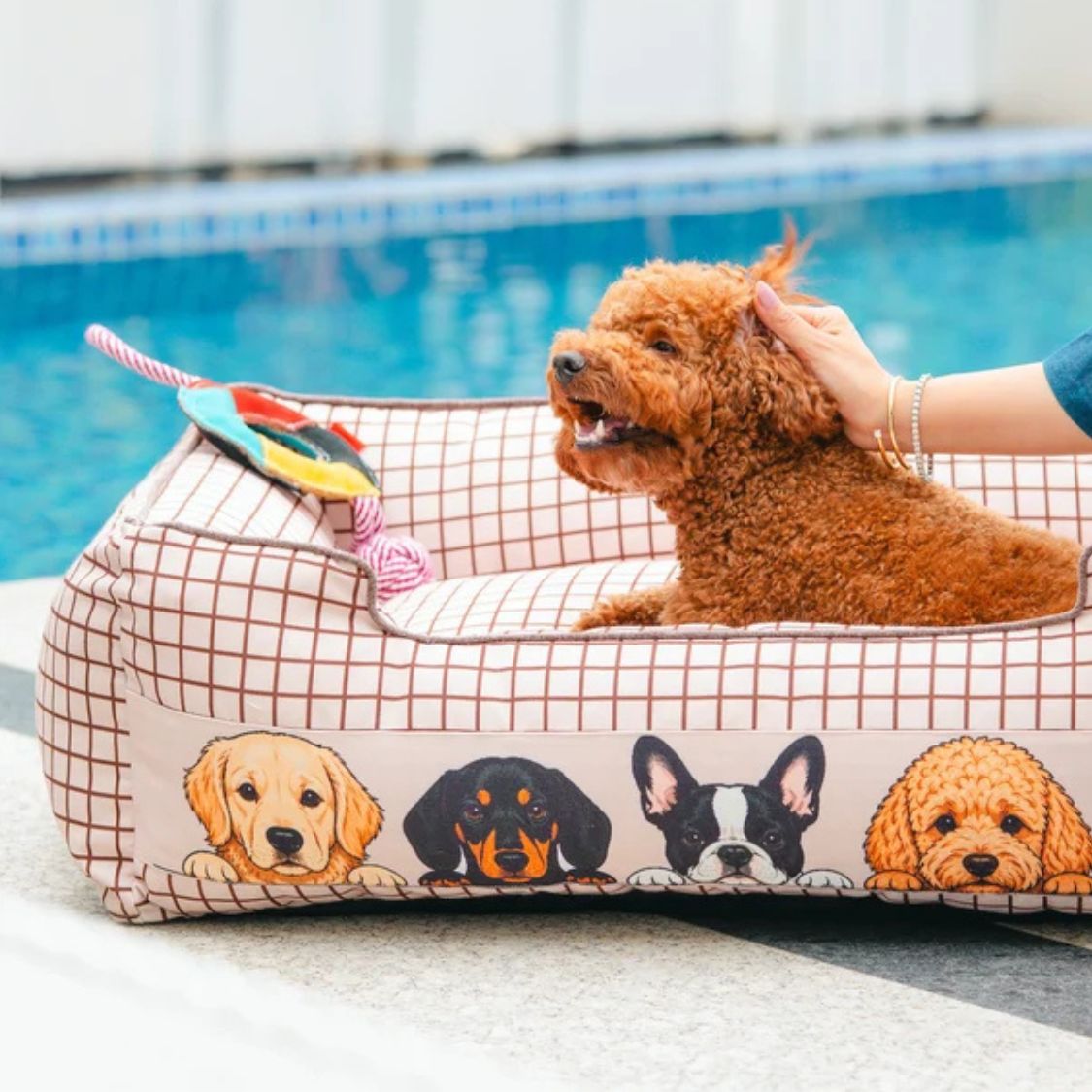 Dog Bed Orthopedic Soft Cushioned | Pet Bed for Indoor Rest Sleep
