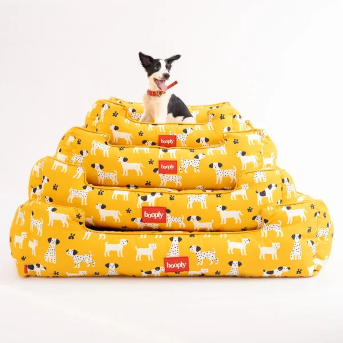 Dog Bed | Pet Bed Soft Cushioned for Cozy Rest -Sunshine Snooze