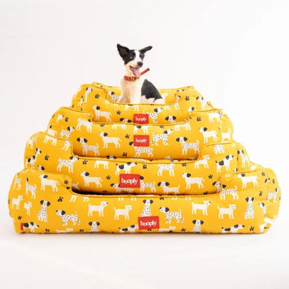 Dog Bed | Pet Bed Soft Cushioned for Cozy Rest -Sunshine Snooze