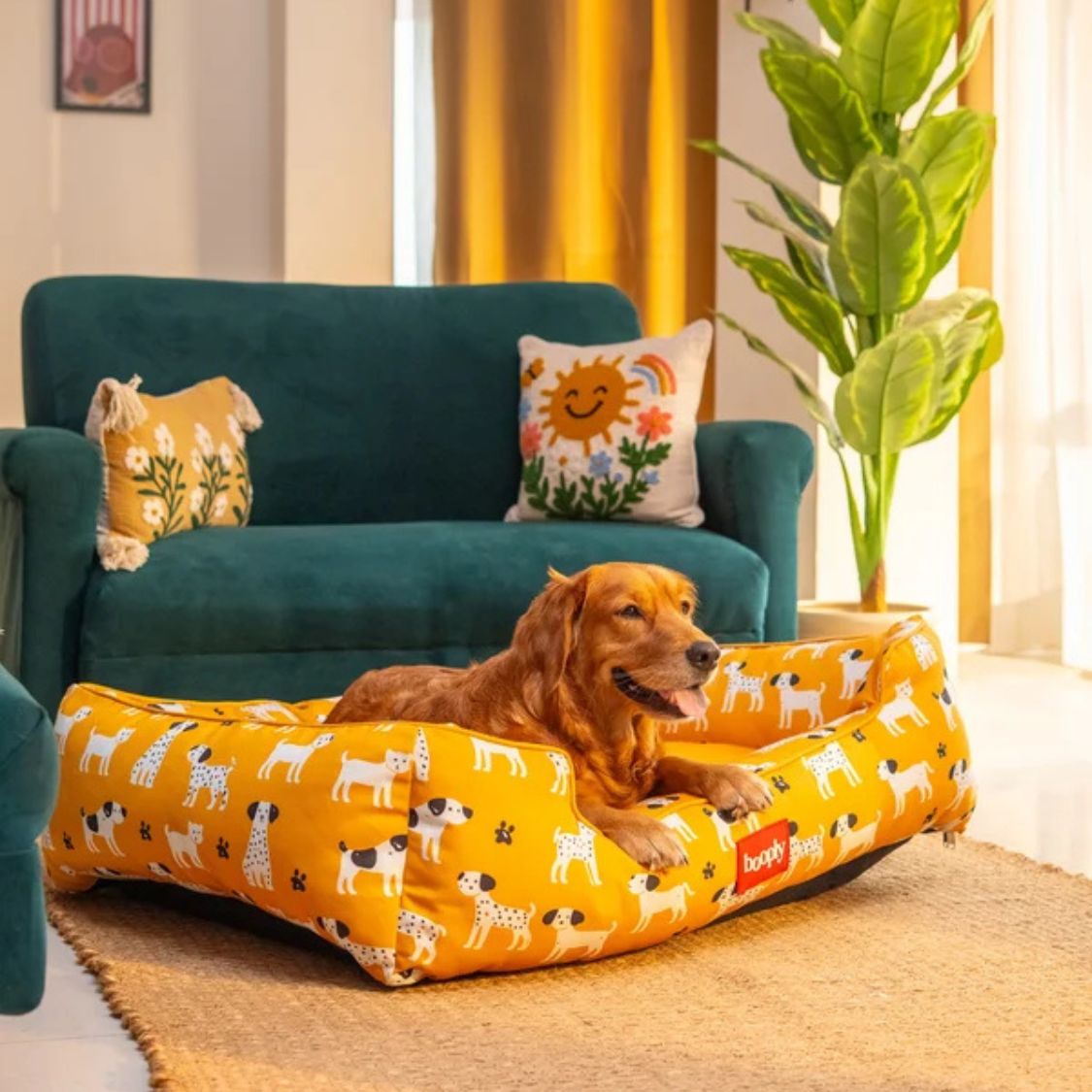 Dog Bed | Pet Bed Soft Cushioned for Cozy Rest -Sunshine Snooze