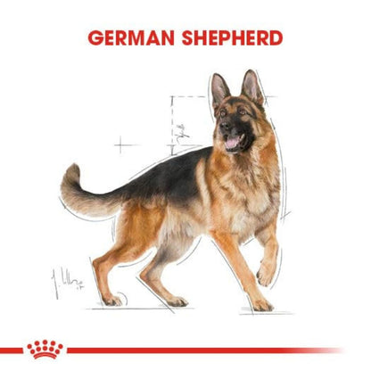 Dog Food | Dry Dog Food for Adult German Shepherds with Digestive & Joint Support