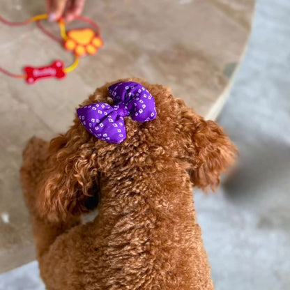dog hair clip
