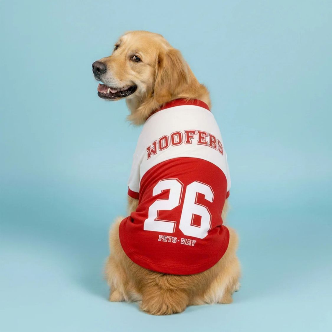 Dog T-Shirt | Dog Cotton T-Shirt for Everyday Comfort - Barkball Woofers