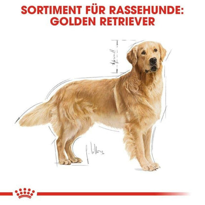 Dog Food | Dog Dry Food for Adult Golden Retrievers with Skin Coat & Heart Support