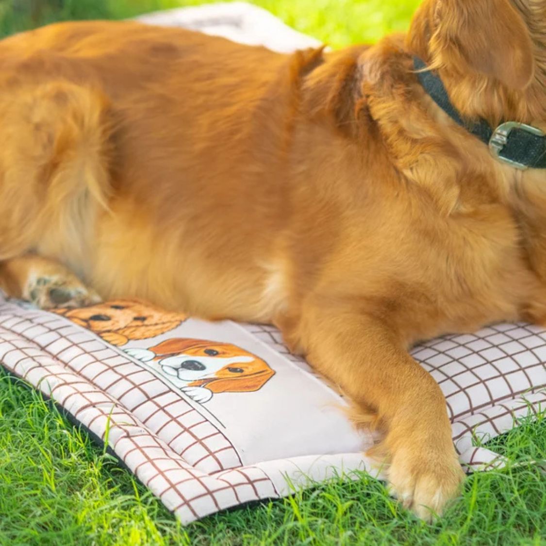 Dog & Cat Mat for Everyday Comfort | Dog Mat for Naps Rest & Play