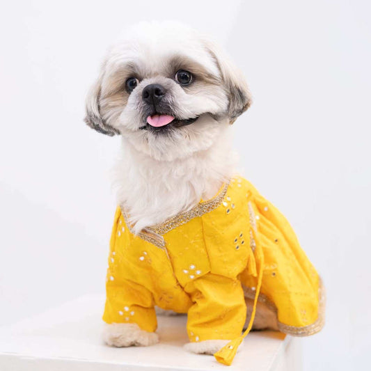Sunshine Swirl Lehenga for Dog – Festive Pet Wear