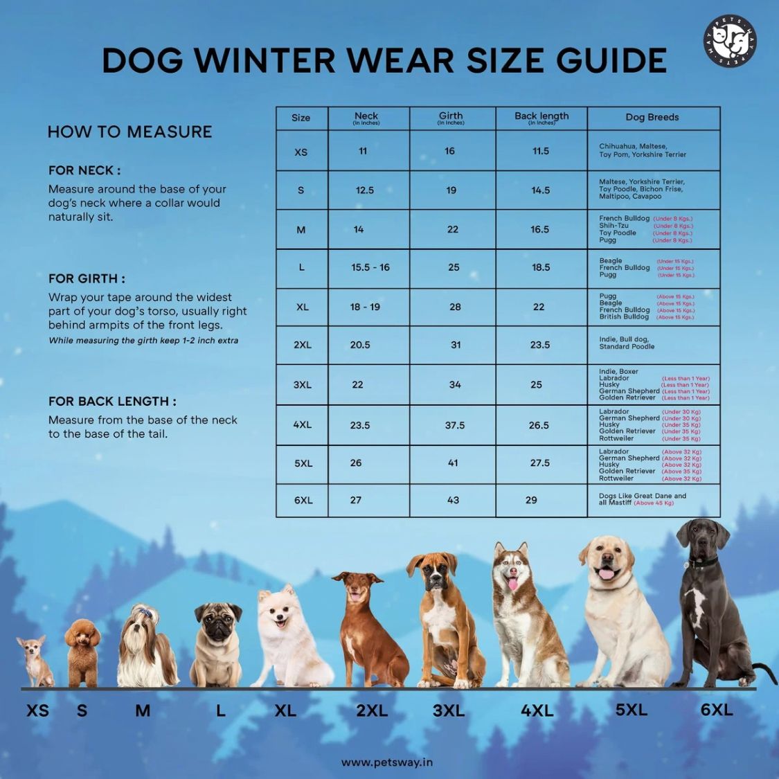 Dog Winter Clothes | Dog Warm Jacket for Chilly Weather and Daily Wear