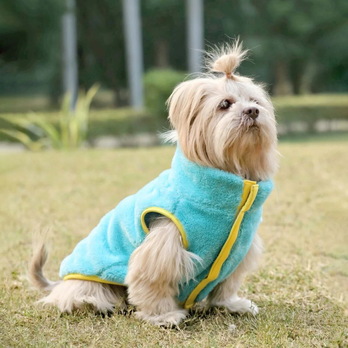 Dog Winter Clothes | Dog Warm Jacket for Chilly Weather and Daily Wear