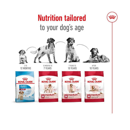 Dog Food | Dog Dry Food for Medium Breed Adult Dogs with Muscle Digestive