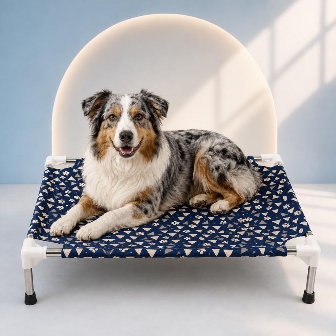 Dog Bed | Elevated Dog Bed for Medium Dogs & Cats with Steel Frame