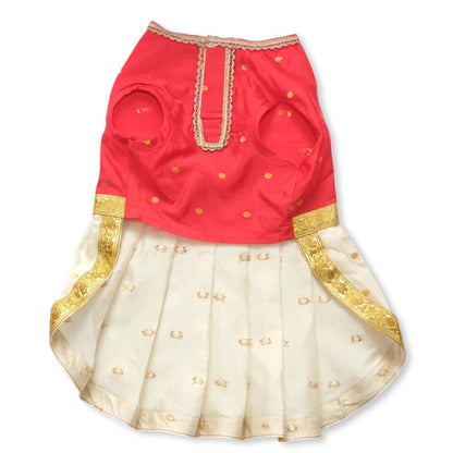 dog ethnic party dress