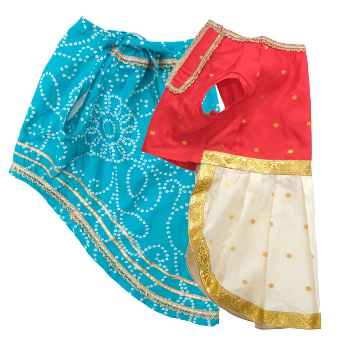 dog ethnic wear