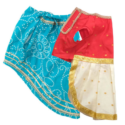 dog ethnic wear