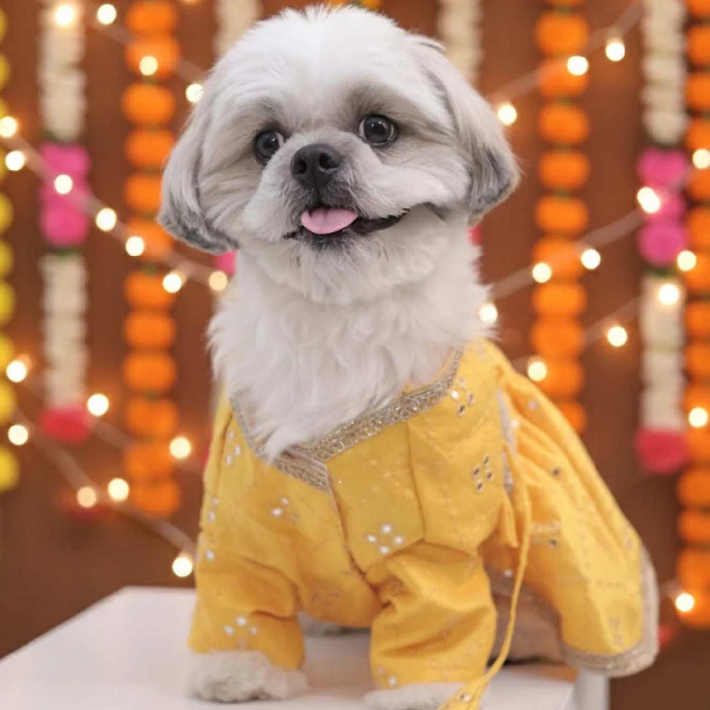 Sunshine Swirl Lehenga for Dog – Festive Pet Wear