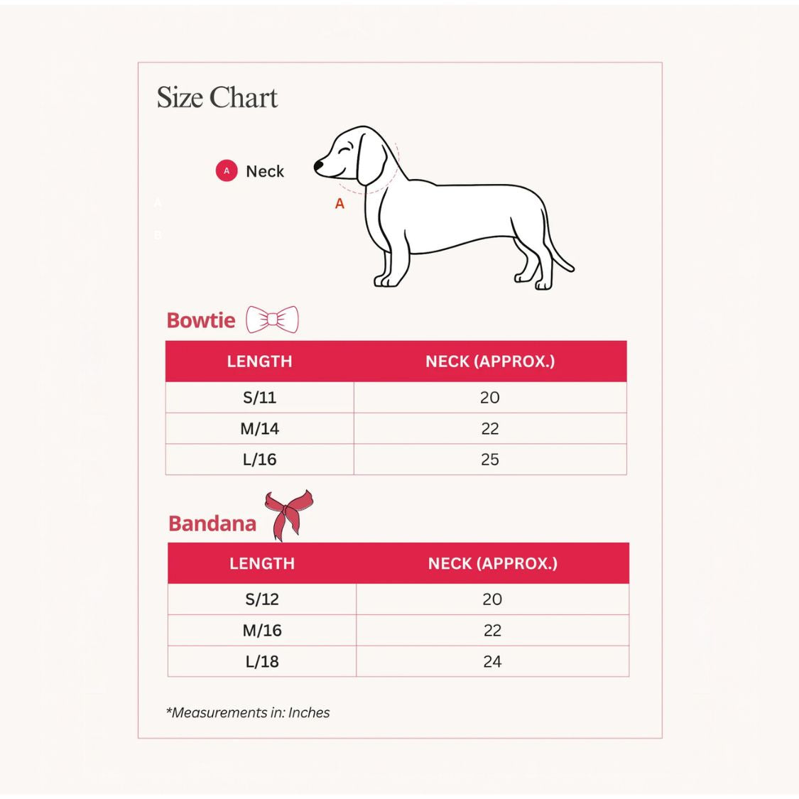 dog bow yellow