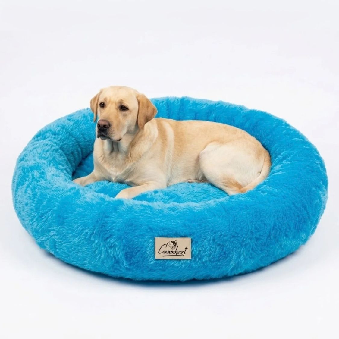 dog fluffy bed