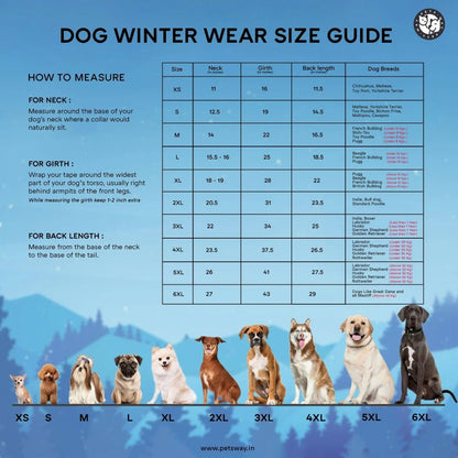 Dog Winter Jacket | Dog Jacket for Cold Weather and Outdoor Walks