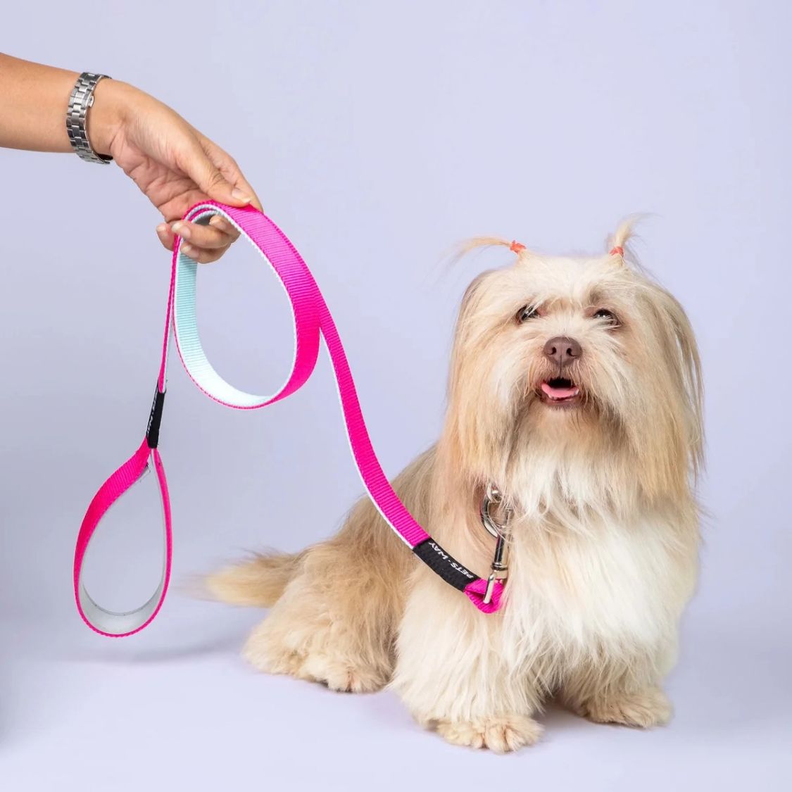 Dog Leash | Durable Dog Walking Leash for Everyday Outdoor Walks