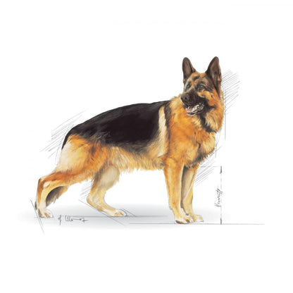 Dog Food | Dry Dog Food for Adult German Shepherds with Digestive & Joint Support