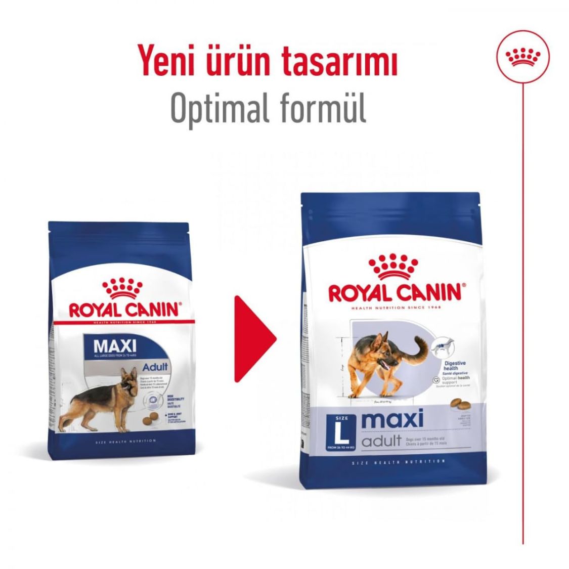 Dog Food | Dog Dry Food for Large Breed Adults with Joint & Digestive Support
