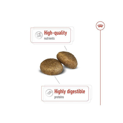 Dog Food | Dog Dry Food for Large Breed Adult Dogs with Joint & Digestive Support