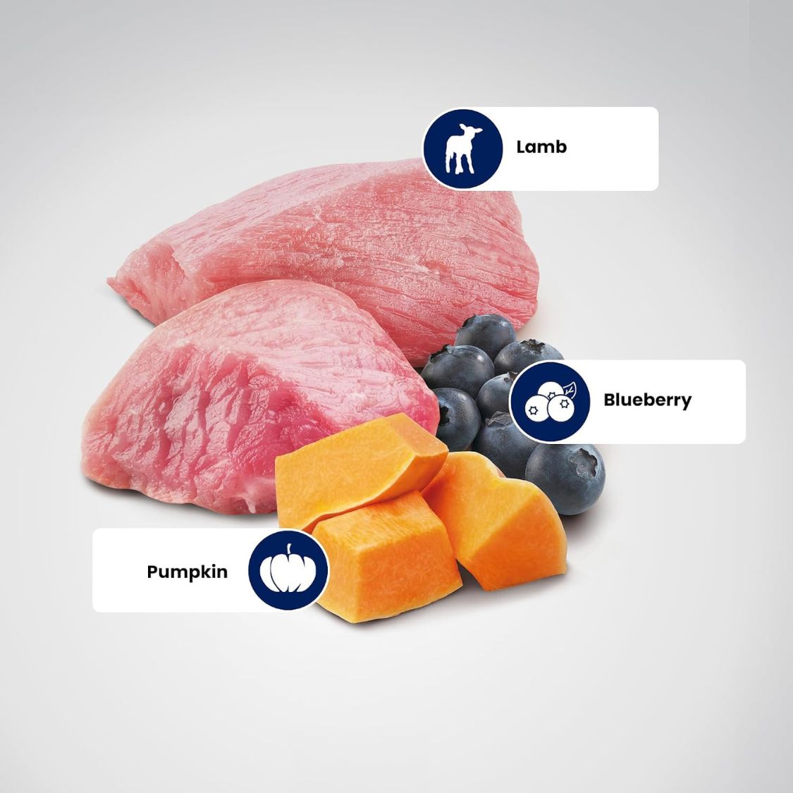 Dog Food | Dog Dry Food with Lamb Pumpkin & Blueberry for Medium & Large Breeds