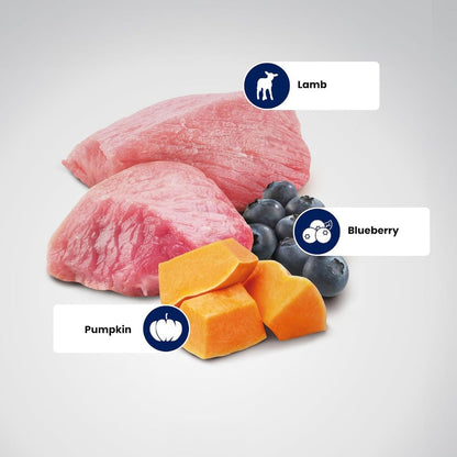 Dog Food | Dog Dry Food with Lamb Pumpkin & Blueberry for Medium & Large Breeds