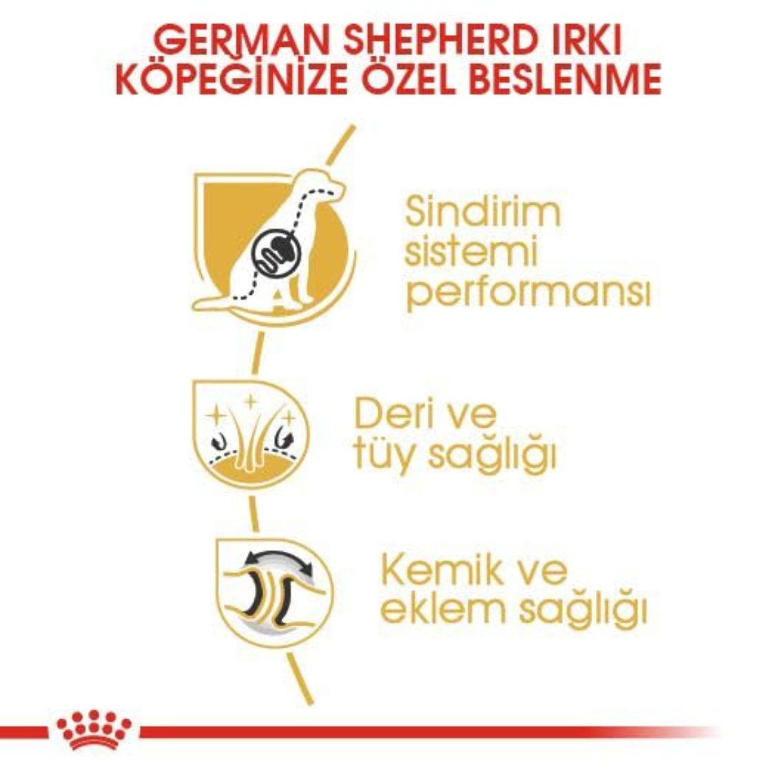 Dog Food | Dry Dog Food for Adult German Shepherds with Digestive & Joint Support
