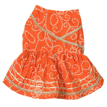 dog indian ethnic wear