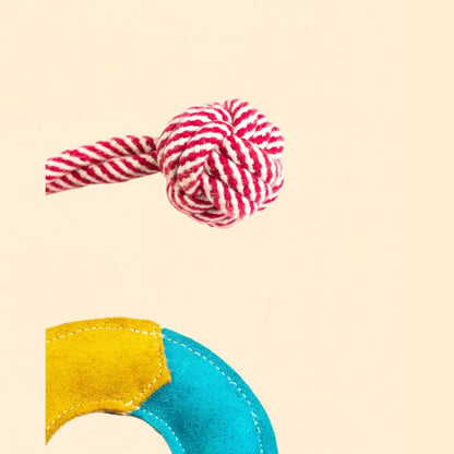 ring toy